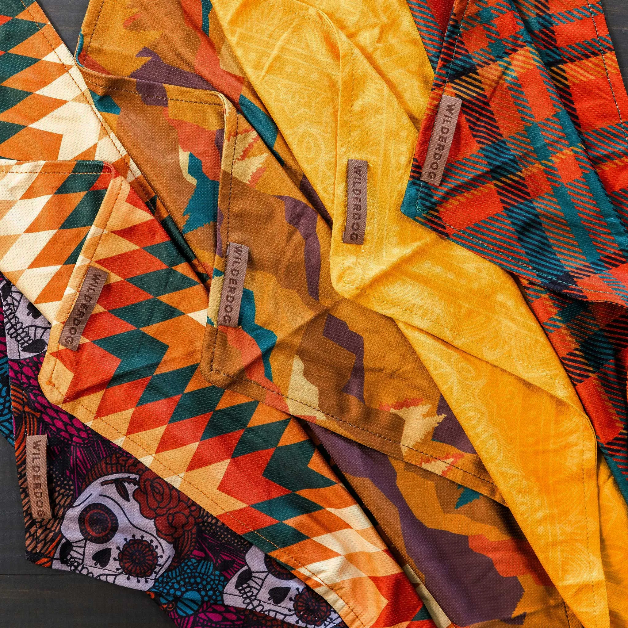 Autumn Air Bandana