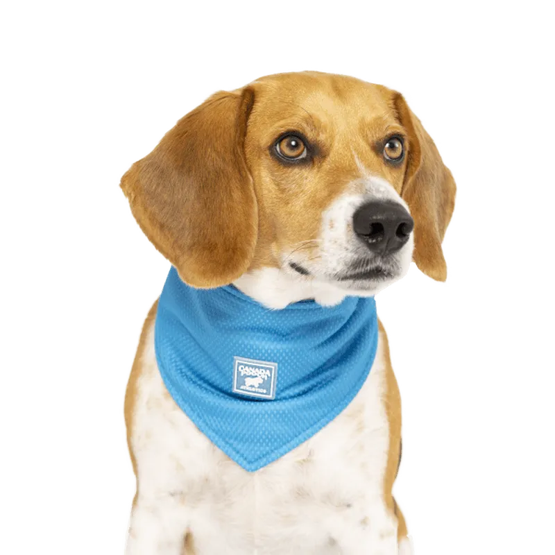 Canada Pooch Cooling Bandana Blue