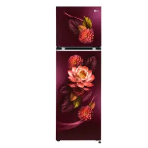 LG GL-S312SRWY 272L 2 Star Frost Free Double Door Refrigerator | Convertible Freezer | Smart Inverter Compressor | Auto Smart Connect | Red Waterlily | Made in India