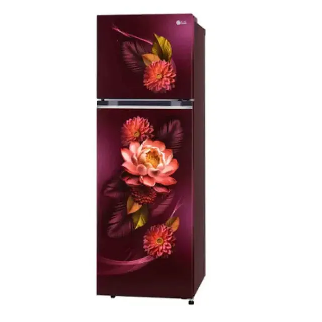LG GL-S312SRWY 272L 2 Star Frost Free Double Door Refrigerator | Convertible Freezer | Smart Inverter Compressor | Auto Smart Connect | Red Waterlily | Made in India