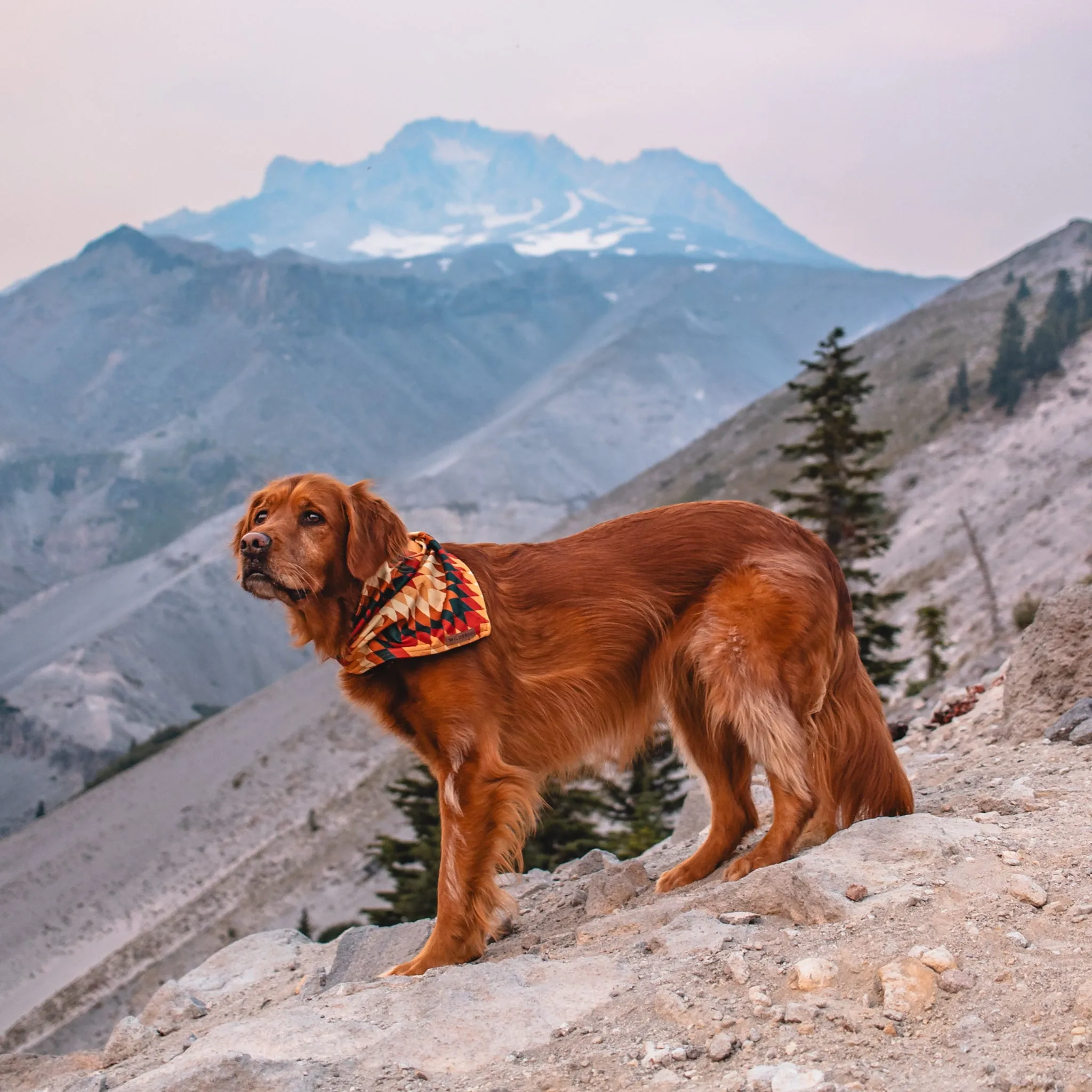 Russet Bandana