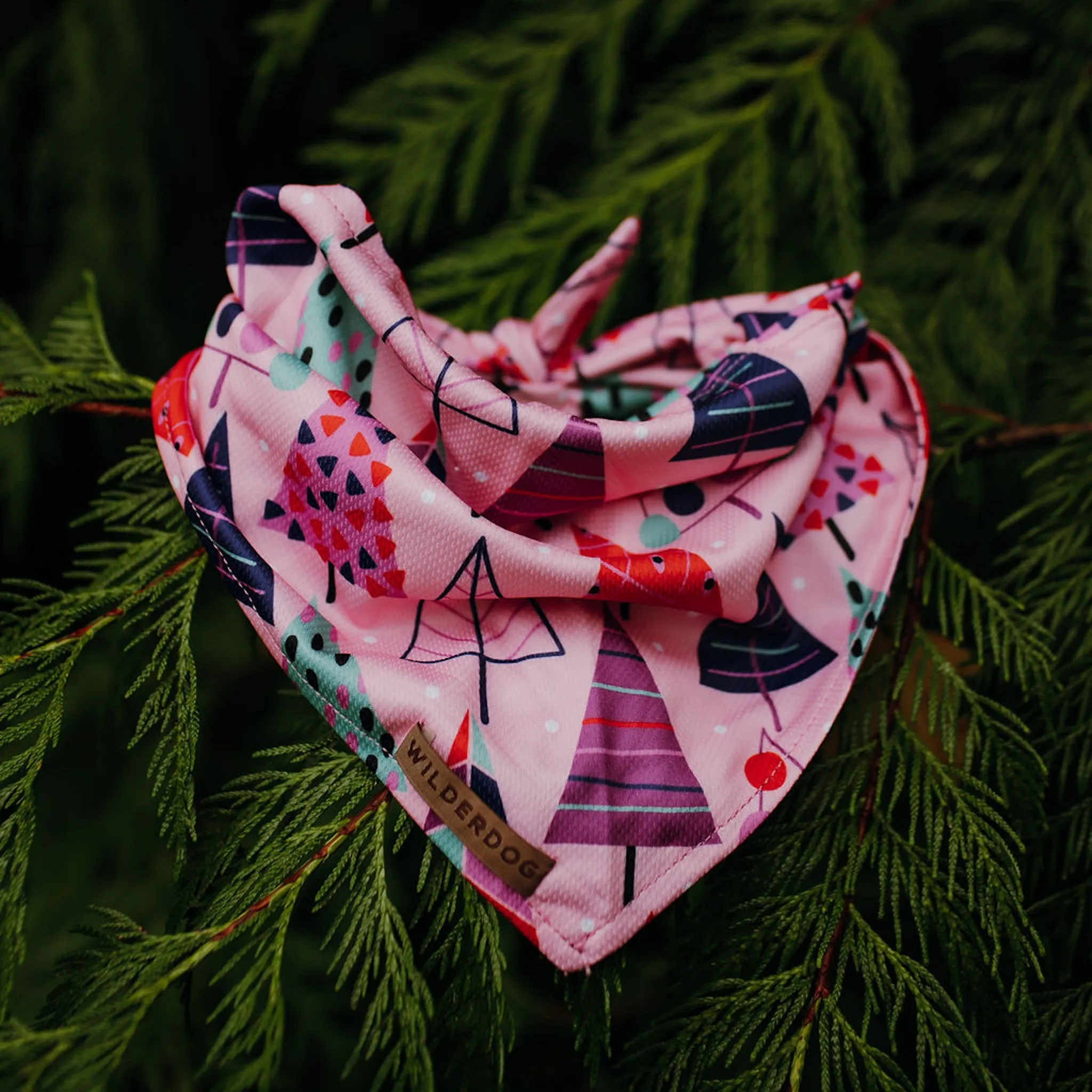Sugarplum Bandana