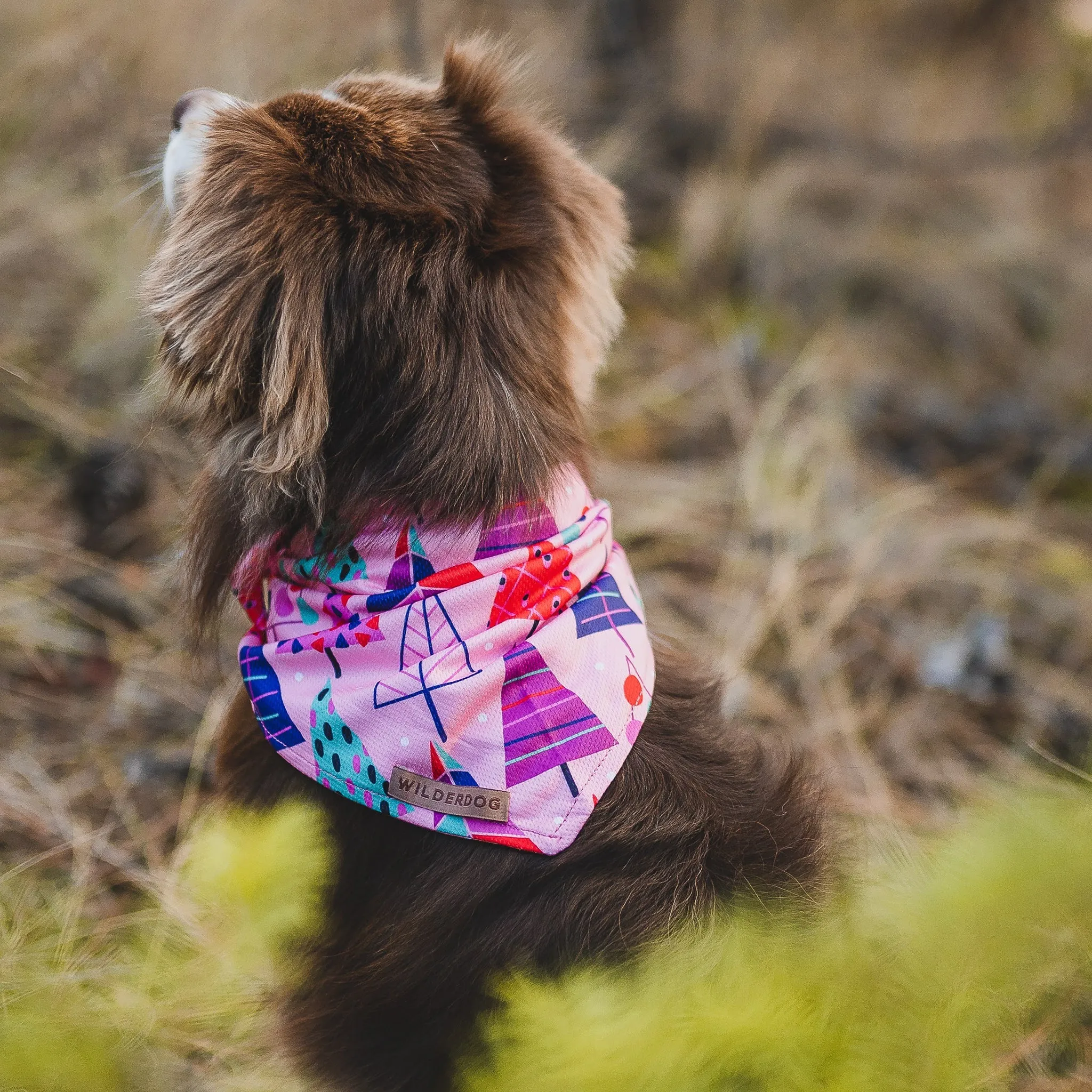 Sugarplum Bandana