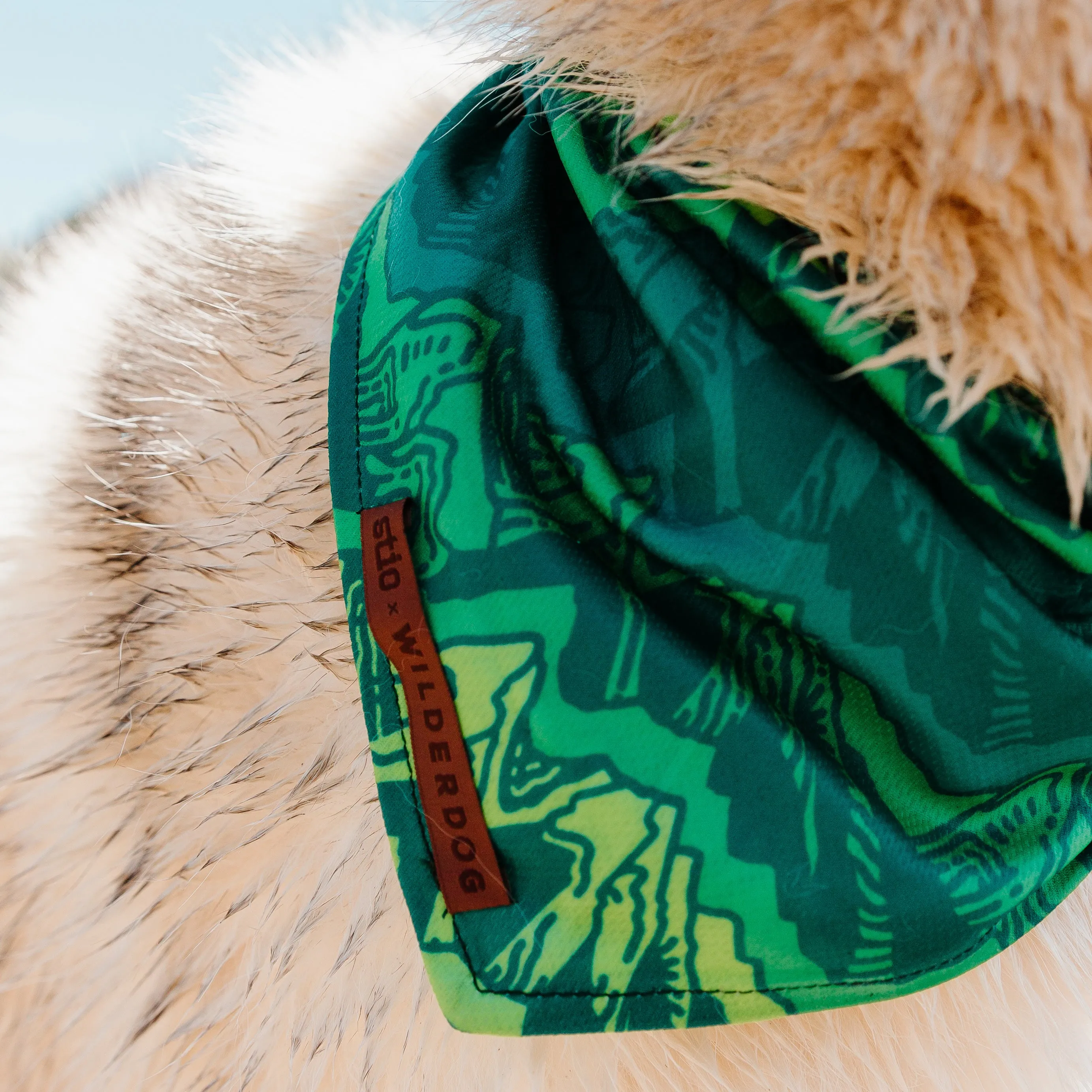 Wilderdog x Stio Bandana