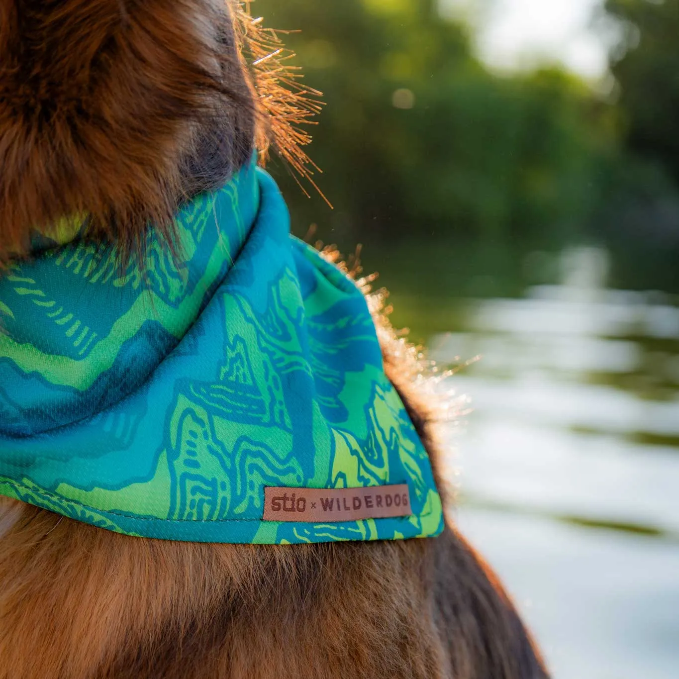 Wilderdog x Stio Bandana