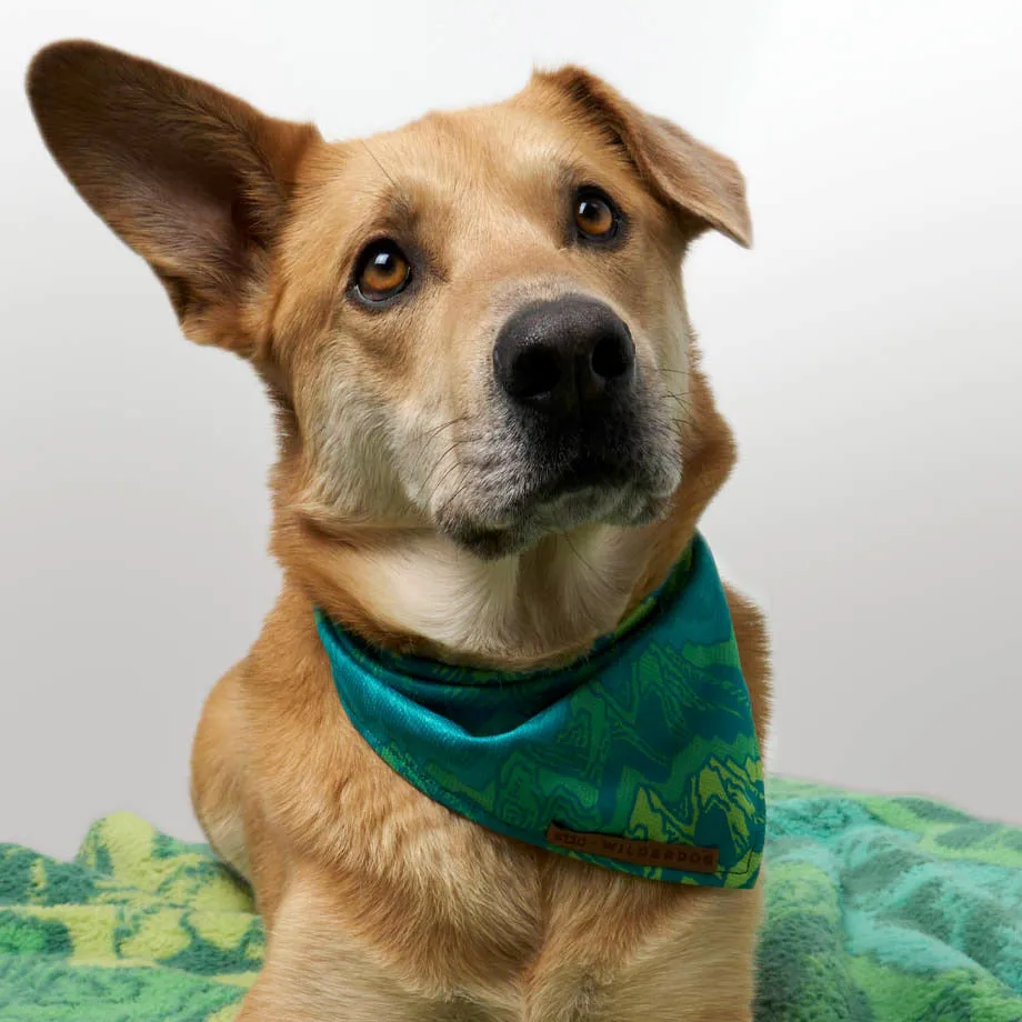Wilderdog x Stio Bandana